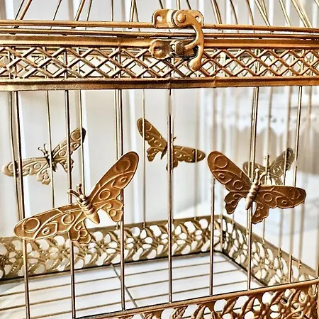 Acasika Casa de Férias *