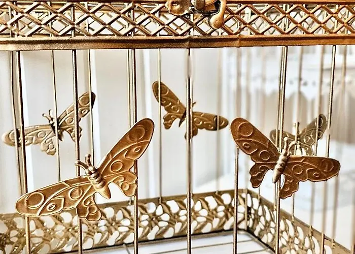 Acasika Vakantiehuis *